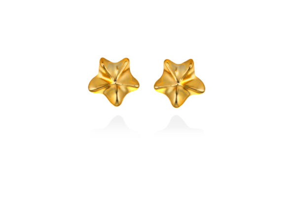 45 Star Earrings GP-g